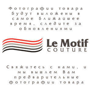 предварительное фото